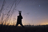 Star watching