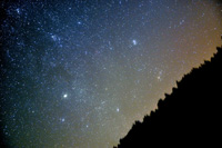 Stars over the forest